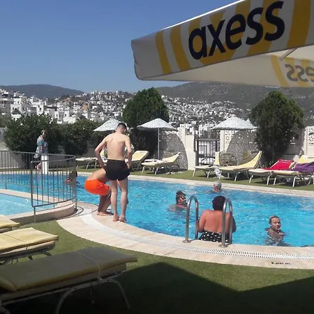 Ozukara 1 3* グムベット