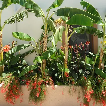 アパートホテル Ozukara 1 3*